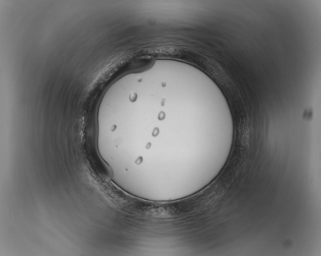 X0000114550735200911091155