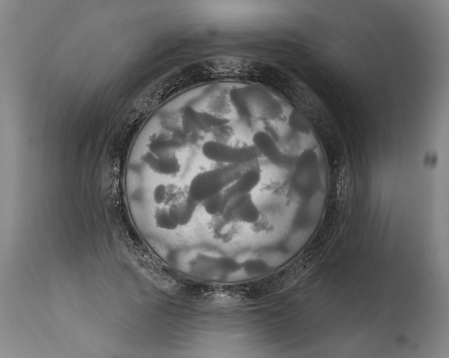 X0000114550737200911091155
