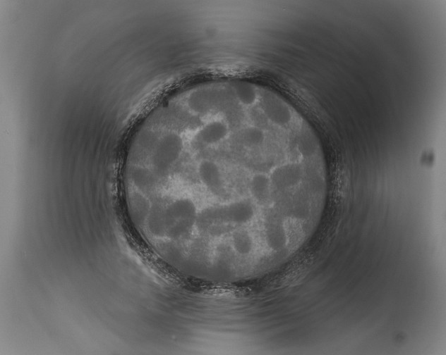 X0000114550738200911091155