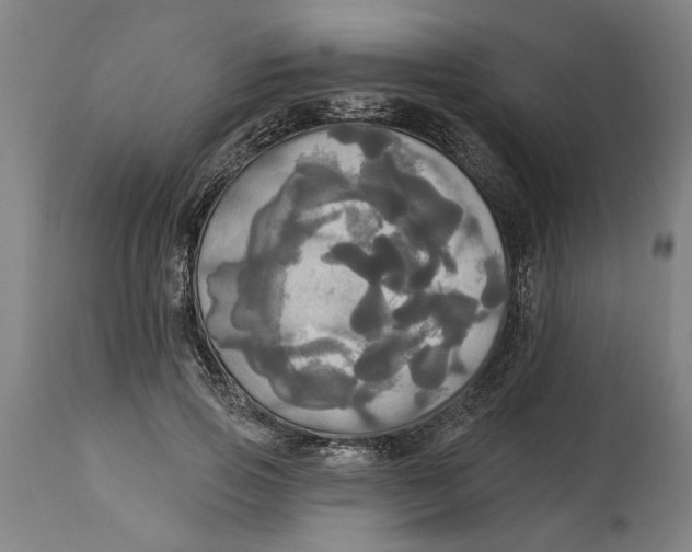 X0000114550741200911091155