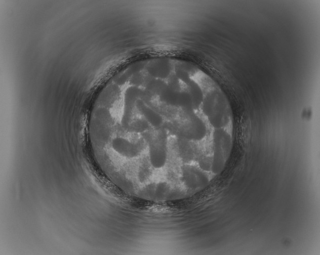 X0000114550742200911091155
