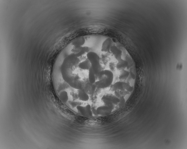 X0000114550745200911091155