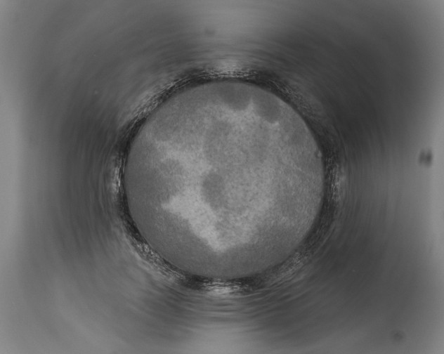 X0000114550746200911091155