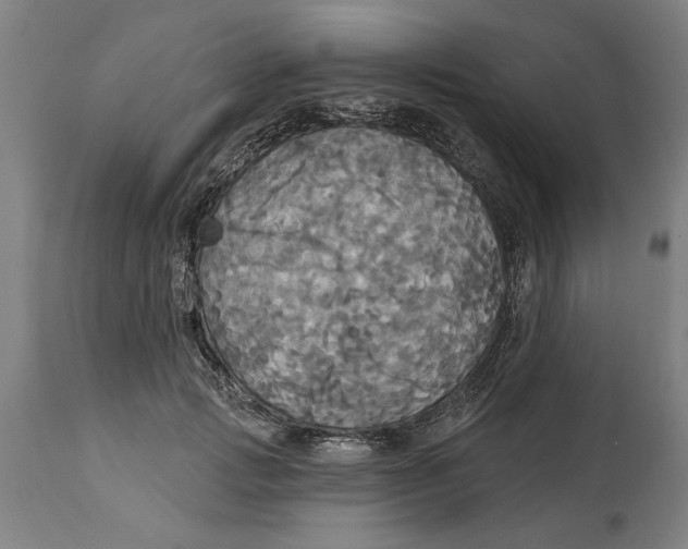 X0000114550749200911091155
