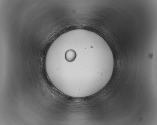 X0000114550750200911091155
