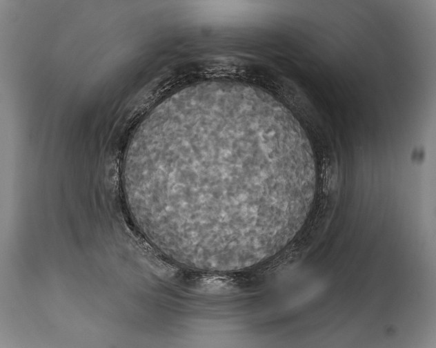 X0000114550753200911091155