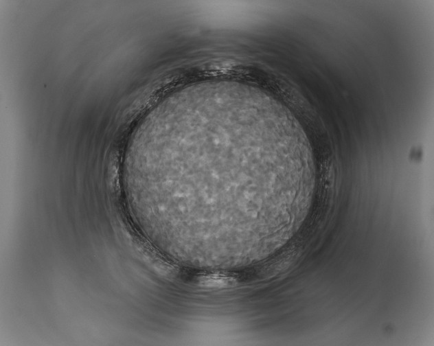 X0000114550754200911091155