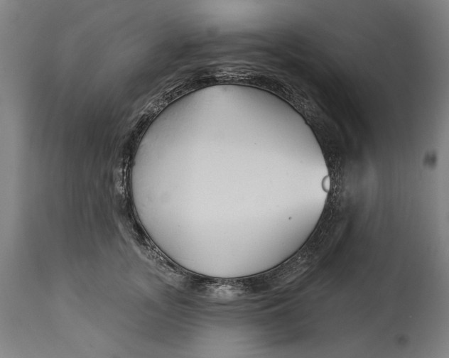 X0000114550755200911091155