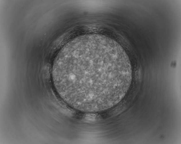 X0000114550757200911091155