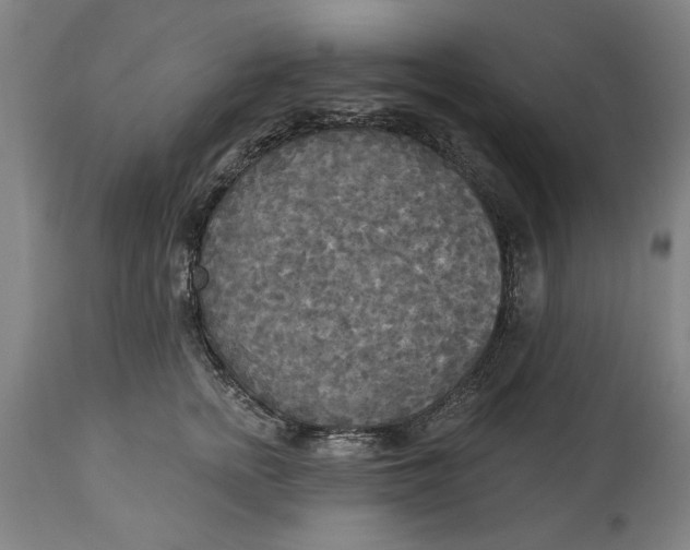 X0000114550758200911091155