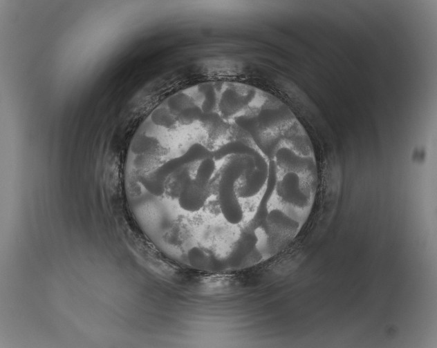 X0000114550761200911091155