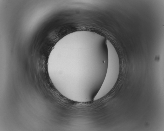 X0000114550762200911091155