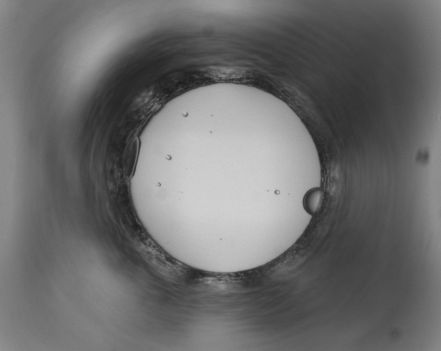 X0000114550763200911091155