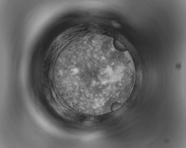X0000114550765200911091155