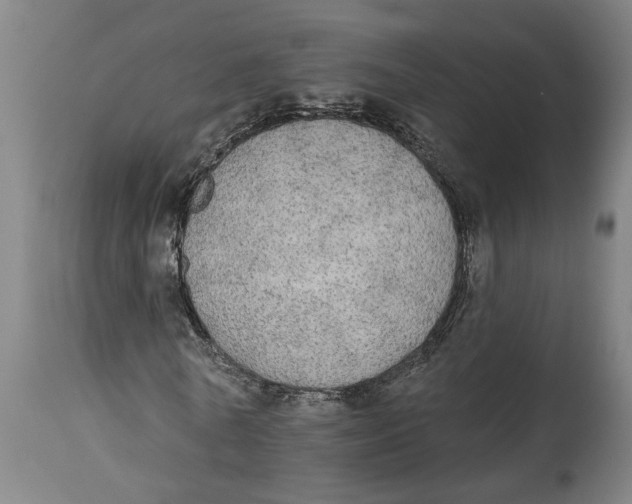 X0000114550770200911091155