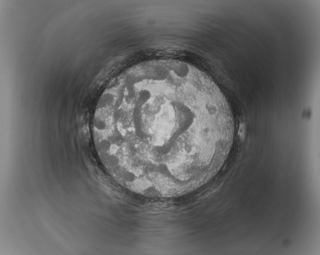 X0000114550771200911091155