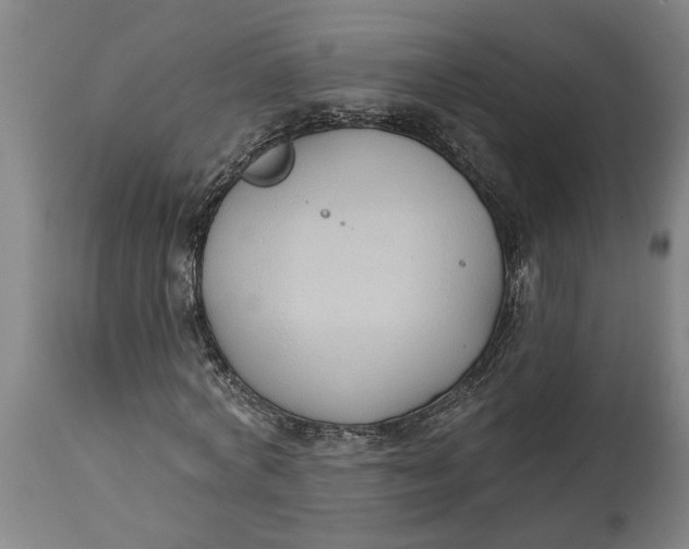 X0000114550772200911091155