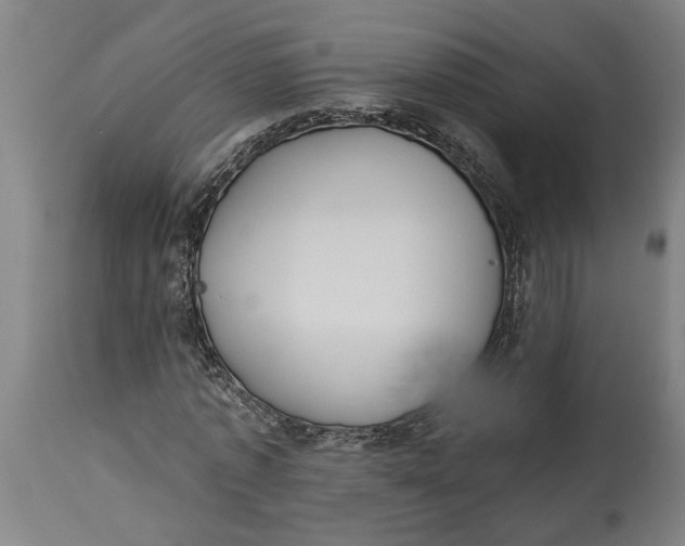 X0000114550773200911091155