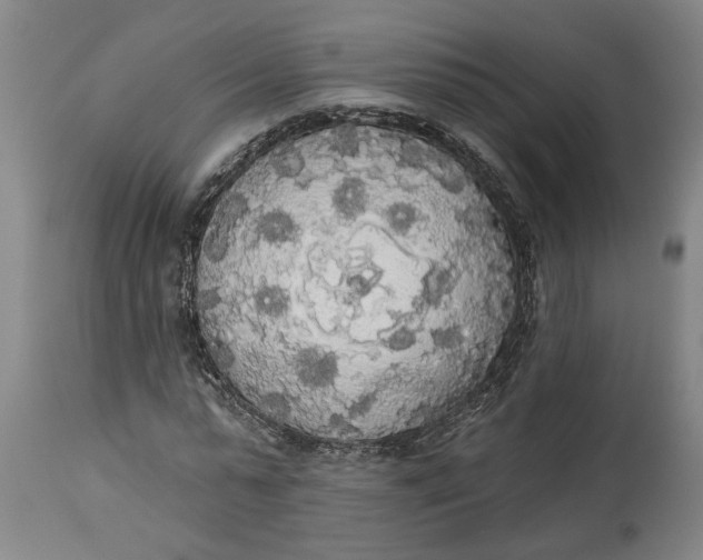 X0000114550775200911091155