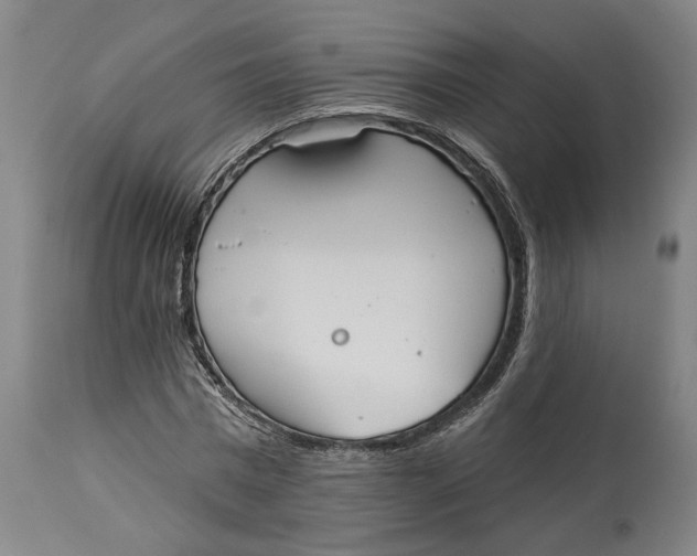 X0000114550777200911091155
