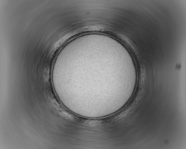 X0000114550778200911091155