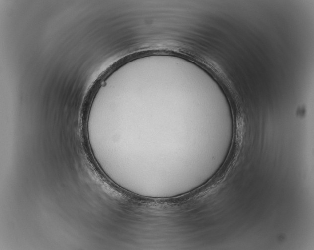 X0000114550780200911091155