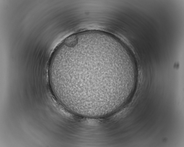X0000114550782200911091155
