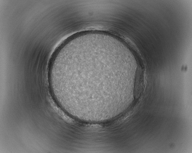 X0000114550784200911091155