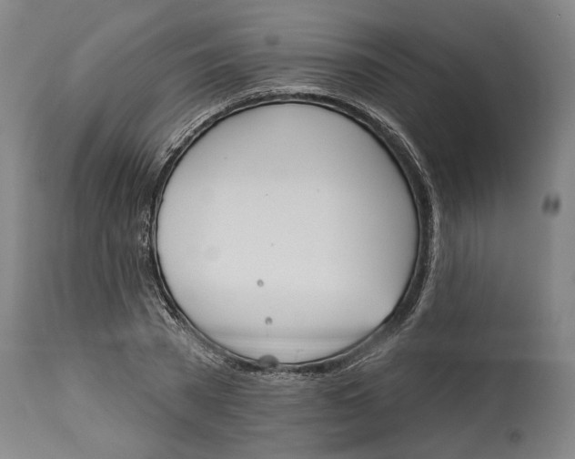 X0000114550785200911091155
