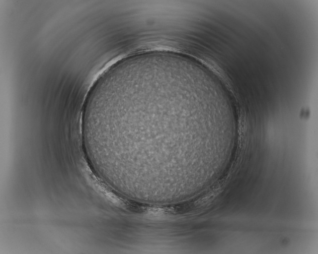 X0000114550790200911091154