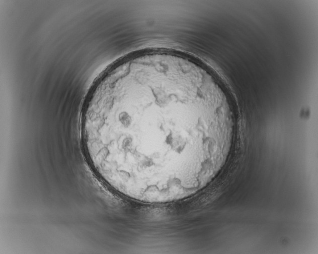 X0000114550791200911091154