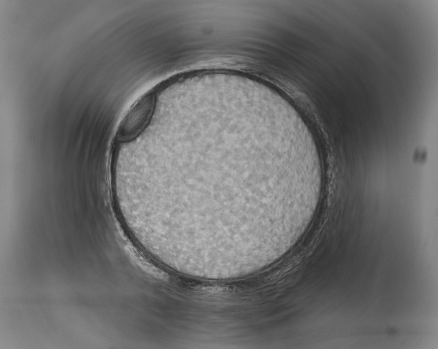 X0000114550792200911091154