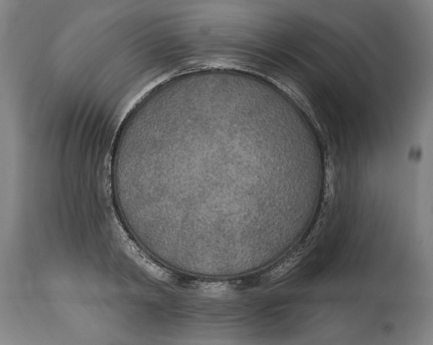 X0000114550798200911091154