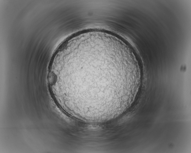 X0000114550799200911091154