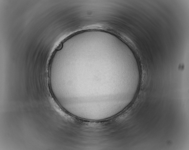 X0000114550800200911091154