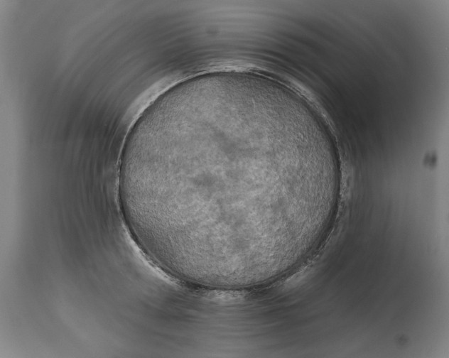 X0000114550802200911091154