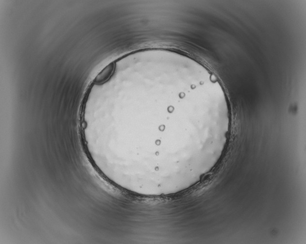X0000114550803200911091154