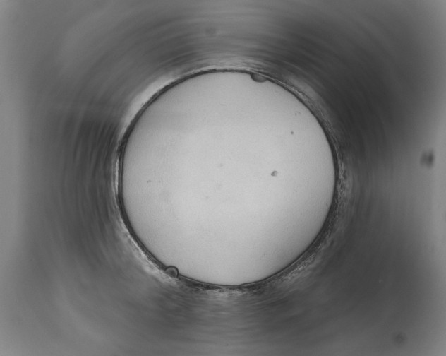 X0000114550804200911091154