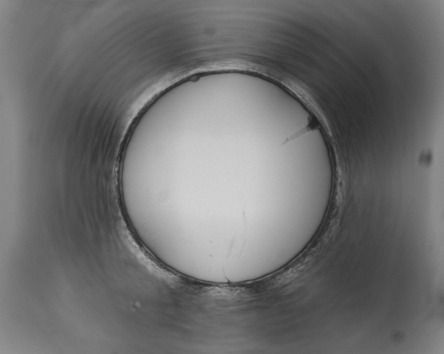 X0000114550805200911091154