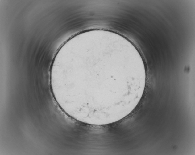 X0000114550807200911091154