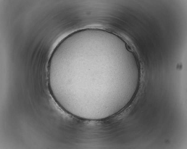 X0000114550808200911091154