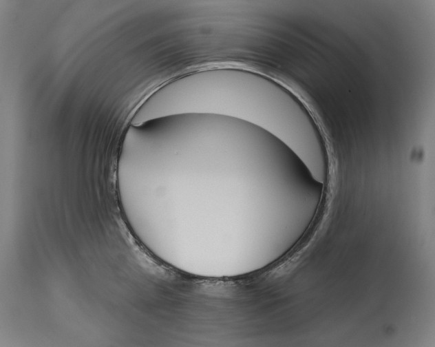 X0000114550809200911091154