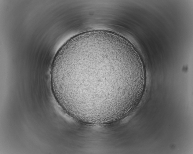 X0000114550814200911091154