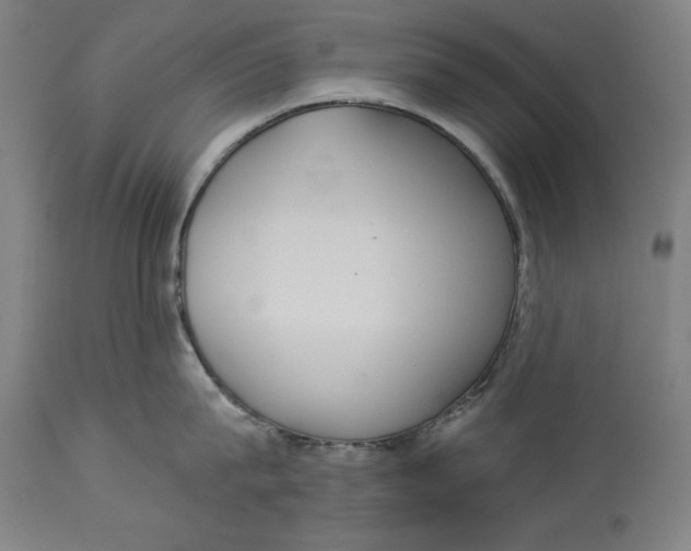 X0000114550815200911091154