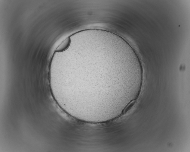 X0000114550816200911091154