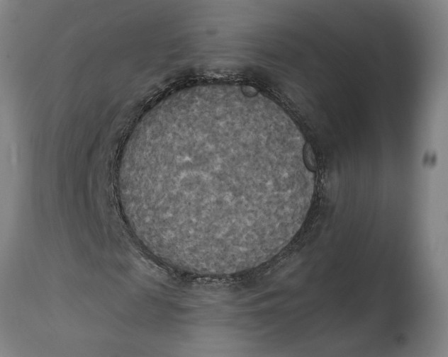 X0000114550817200911091153