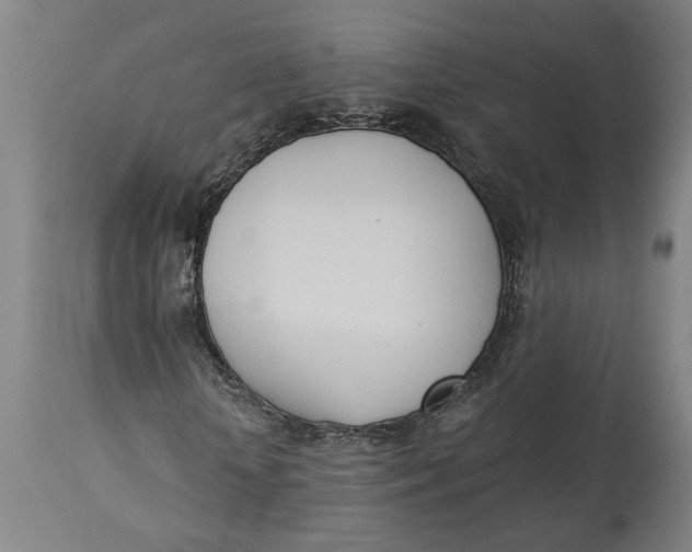 X0000114550818200911091153