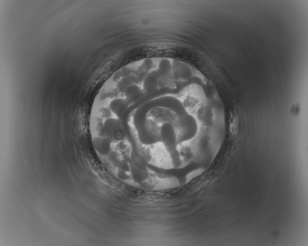 X0000114550819200911091153