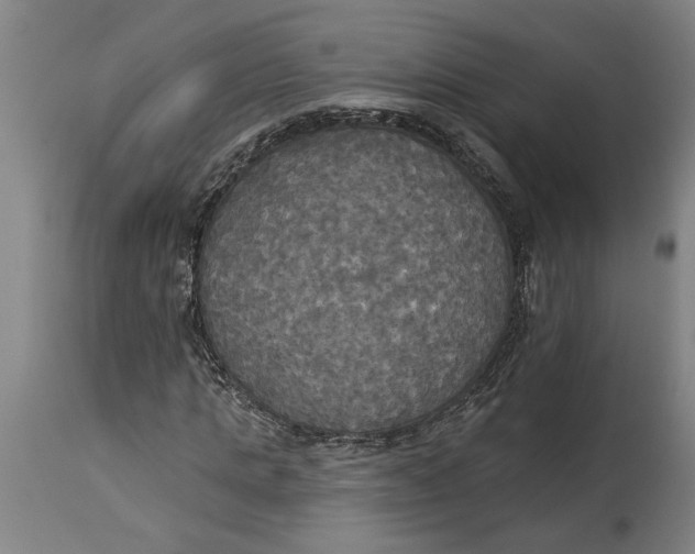 X0000114550821200911091153