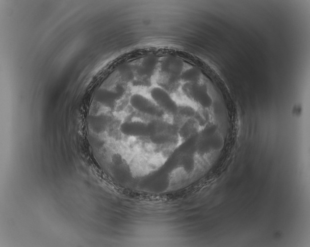 X0000114550823200911091153